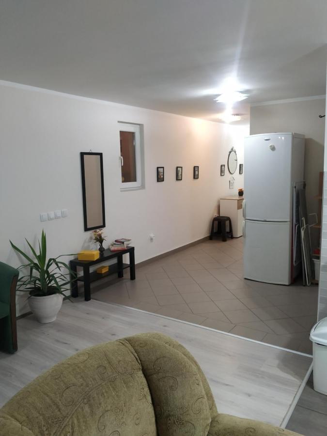 Ariana Apartman Kragujevac Extérieur photo