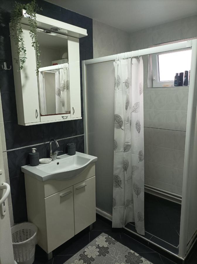 Ariana Apartman Kragujevac Extérieur photo