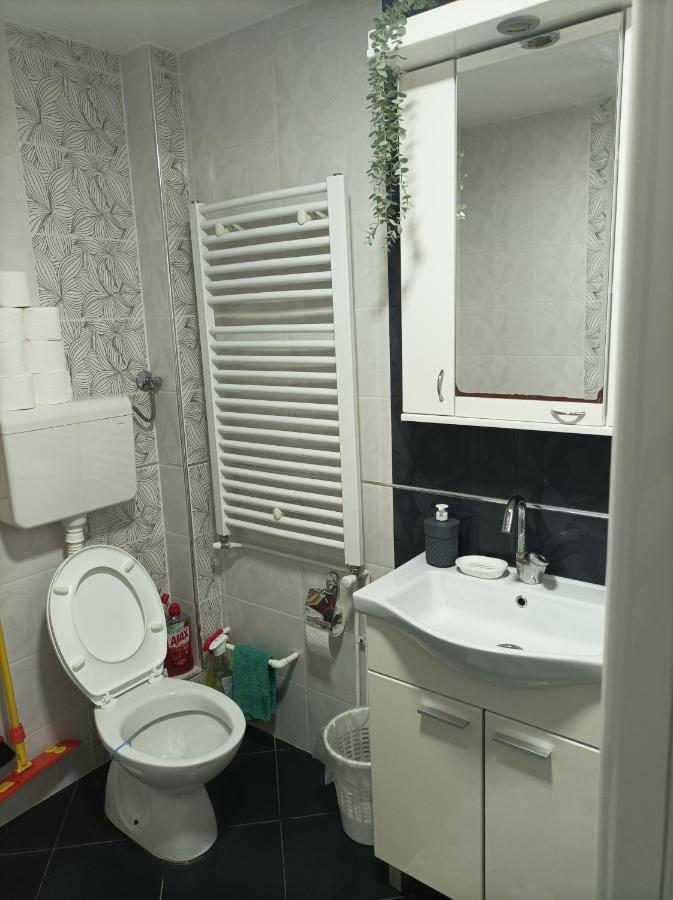 Ariana Apartman Kragujevac Extérieur photo
